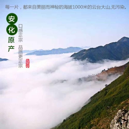 安化原产黑茶 产于海拔千米云台大山无污染 一盒两条（350g）