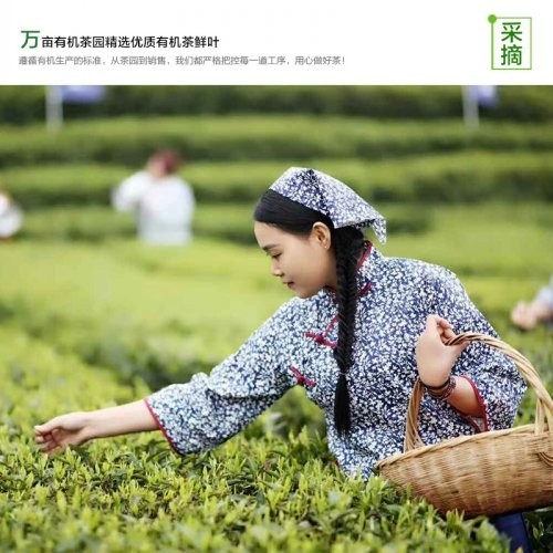 安化原产黑茶 产于海拔千米云台大山无污染 一盒两条（350g）