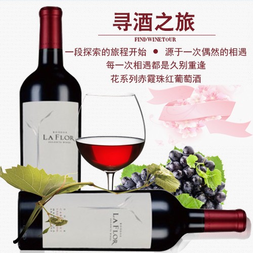 葡岚德花系列马尔贝克干红葡萄酒（两瓶装）