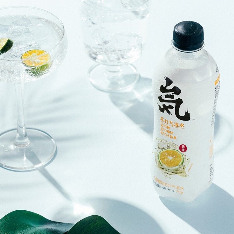元气森林 卡曼橘味 480ml/15瓶 整箱 无糖无热量苏打水气泡水饮料汽水
