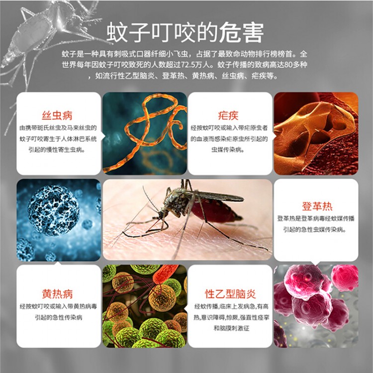 灭害灵 清香型蚊香 大盘40圈装 免拆型家用灭蚊驱蚊除蚊 婴儿儿童装盘式蚊香桶装