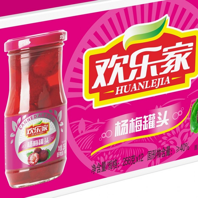 欢乐家 糖水杨梅罐头 256g*12瓶 整箱装休闲食品方便速食