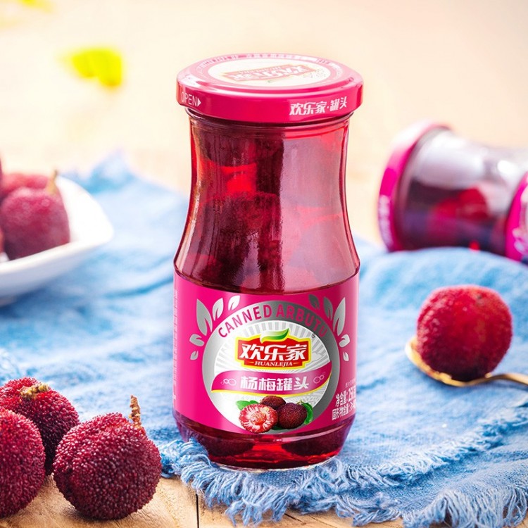 欢乐家 糖水杨梅罐头 256g*12瓶 整箱装休闲食品方便速食