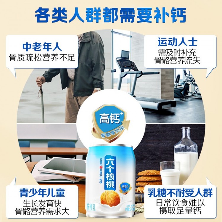 六个核桃 无糖高钙核桃乳 240ml*12罐 养元 整箱装植物蛋白饮料整箱装