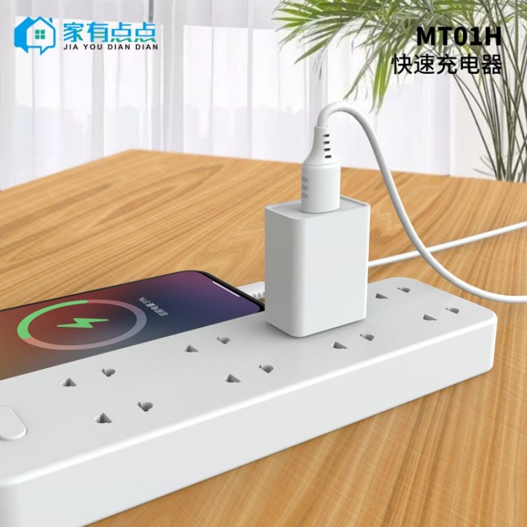 友哥 USB口快速充电器头 MT01H/家有点点