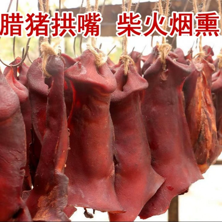 腊猪拱嘴